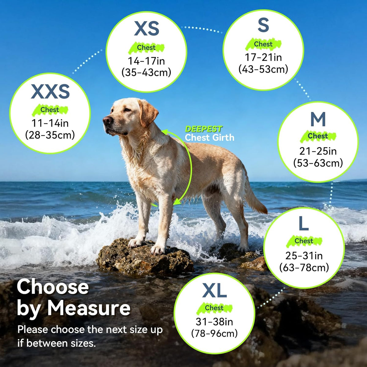 Dog Life Vest Front Float Dog Swim Vest, XXS, Bright Green | Life Jacket with Chin Float & Handle for Swimming & Boating, High Visibility Adjustable for Doggy Cat Puppy